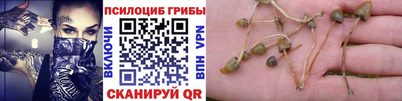 наркотики  гидра tor  Галлюциногенные грибы Psilocybe  Усинск 